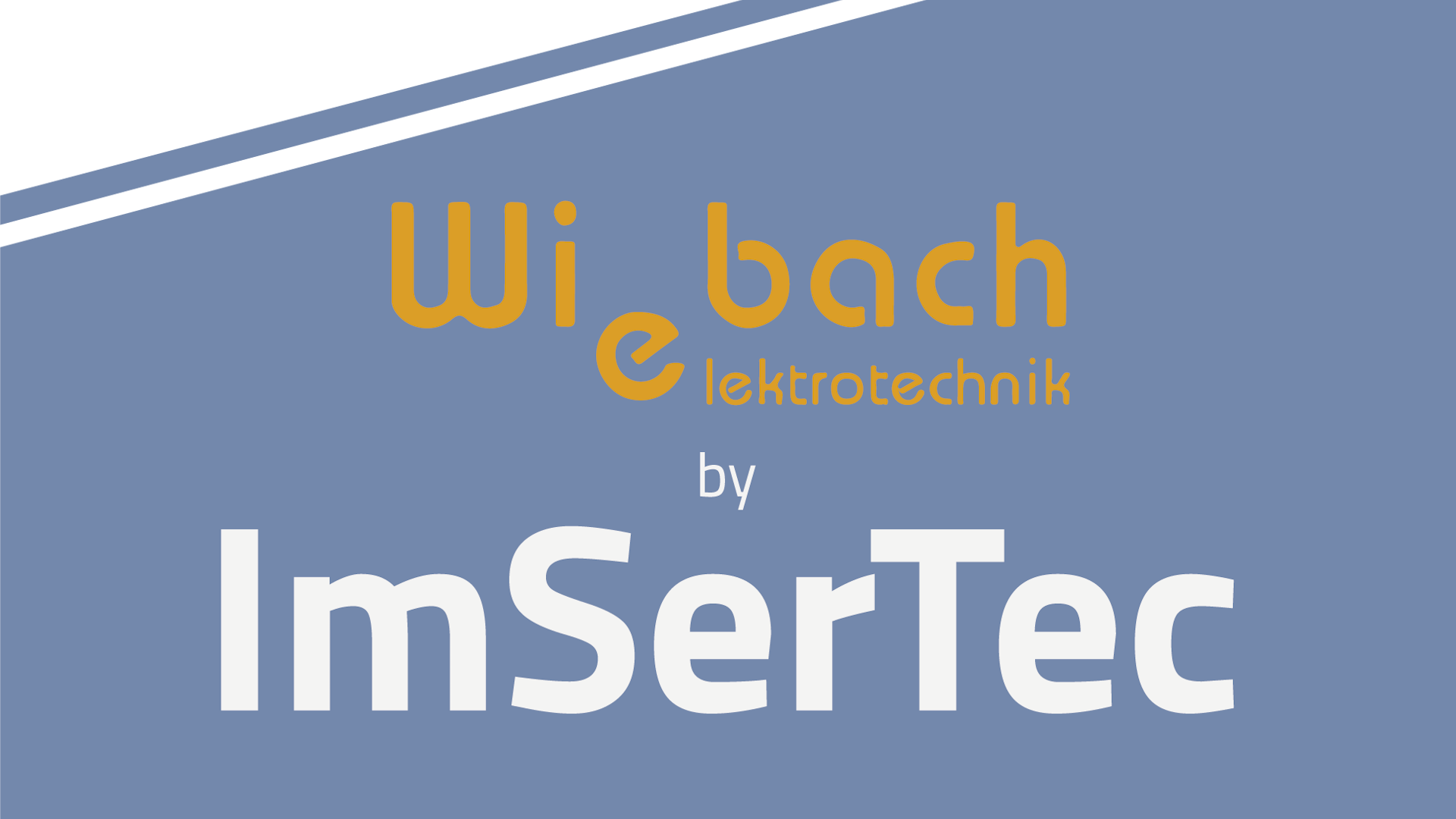 ImSerTec